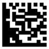 Datalogic3.png